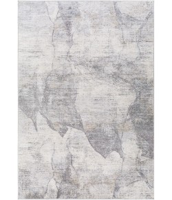 Livabliss Norland NLD2310 Light Gray Charcoal Area Rug 9 ft. X 12 ft. Rectangle