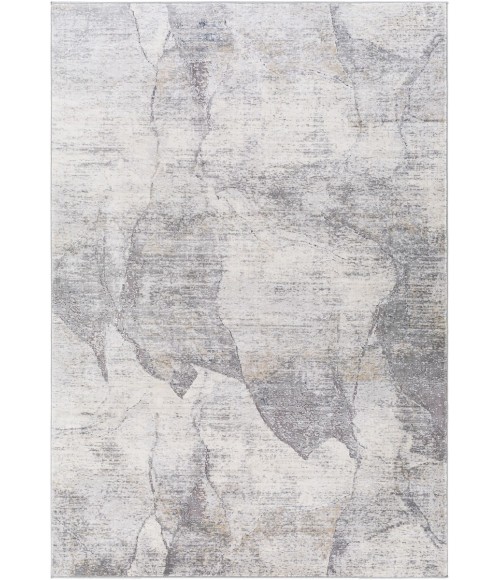 Surya Norland NLD-2310 9  x 12  Rug