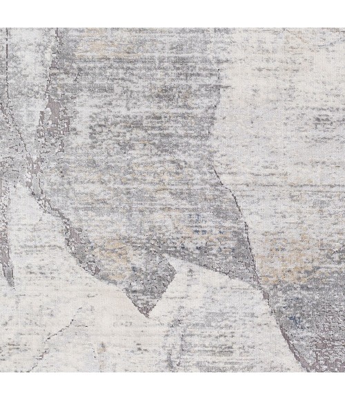 Surya Norland NLD-2310 9  x 12  Rug