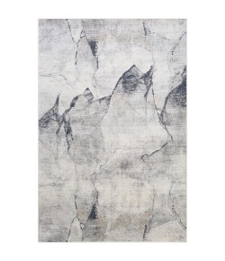 Livabliss Norland NLD2311 Light Gray Charcoal Area Rug 9 ft. X 12 ft. Rectangle