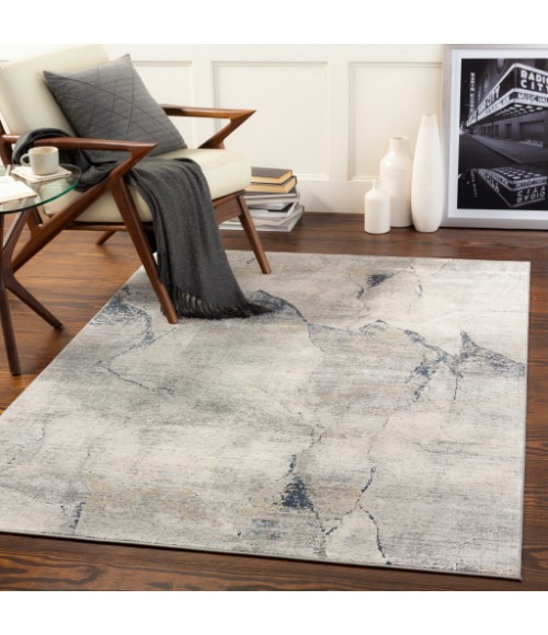 Surya Norland NLD-2311 9  x 12  Rug