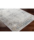 Surya Norland NLD-2317 10  x 14  Rug