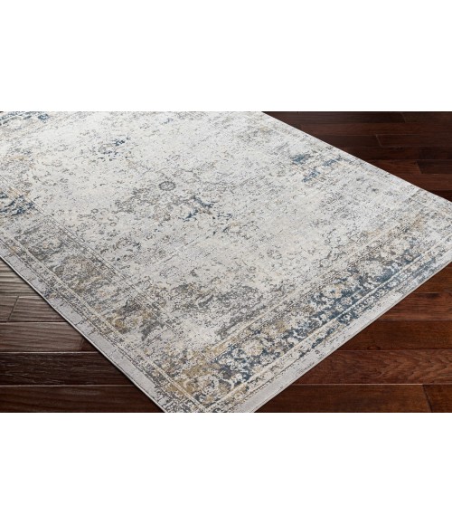 Surya Norland NLD-2317 10  x 14  Rug