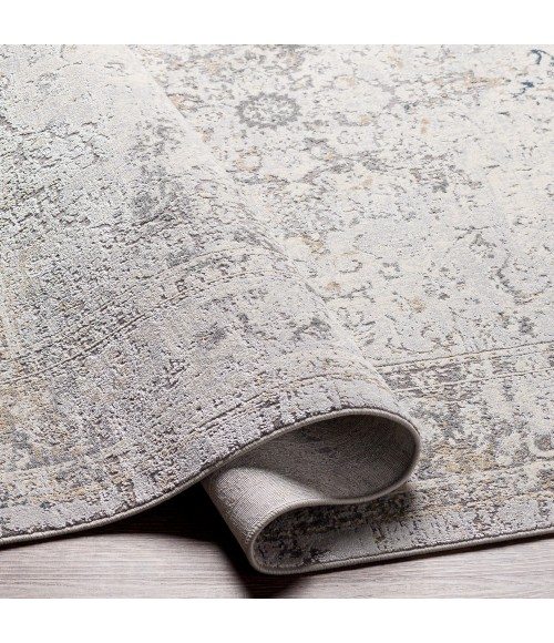 Surya Norland NLD-2317 10  x 14  Rug