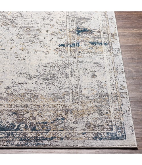 Surya Norland NLD-2317 10  x 14  Rug