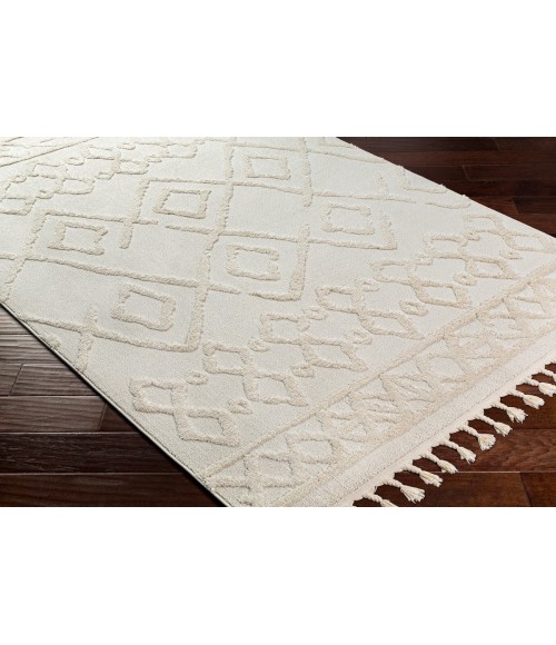 Livabliss Nora NOA-2300 67" x 9 Rug