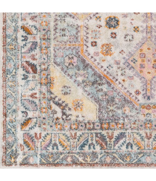 Livabliss New Mexico NWM-2309 Area Rug