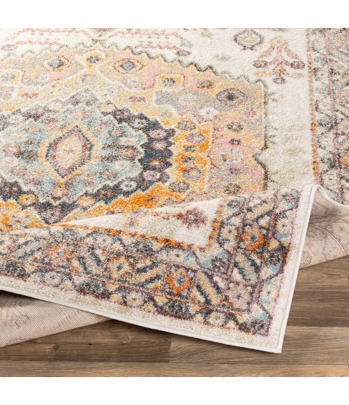 Livabliss New Mexico NWM-2312 Area Rug