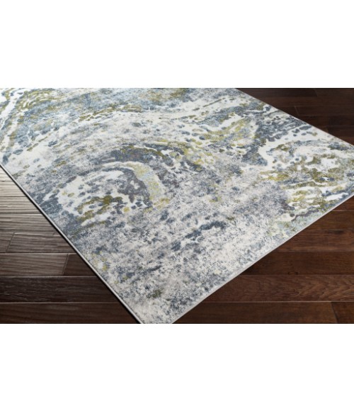 Surya New Mexico NWM-2327 2  x 3  Rug