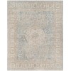 Surya Once Upon a Time OAT2300 Ash Warm Grey Area Rug 6 ft. 5 in. X 8 ft. 10 in. Rectangle