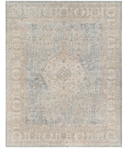 Surya Once Upon a Time OAT2300 Ash Warm Grey Area Rug 6 ft. 5 in. X 8 ft. 10 in. Rectangle