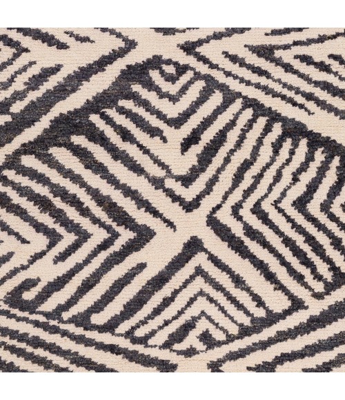 Surya Orinocco OOC-1003-8x10 rug