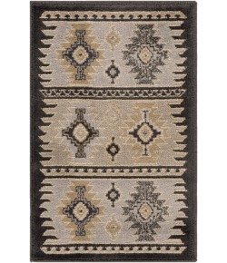 Surya Paramount PAR1046 Medium Gray Charcoal Area Rug 1 ft. 10 in. X 2 ft. 11 in. Rectangle