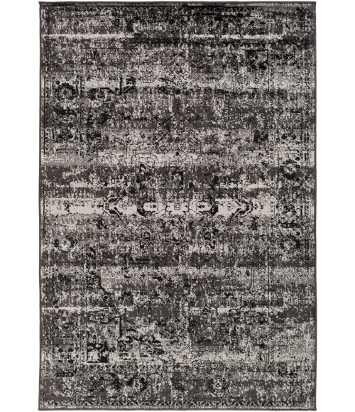 PARAMOUNT RUG Surya Paramount PAR-1060-22x76 rug