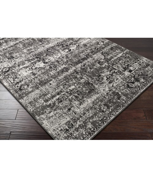 PARAMOUNT RUG Surya Paramount PAR-1060-22x76 rug