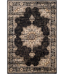Livabliss Paramount PAR1089 Black Charcoal Area Rug 7 ft. 10 in. X 11 ft. 2 in. Rectangle