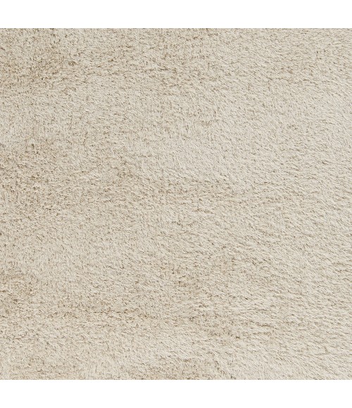 Surya Portland PLD-2001-2x3 rug