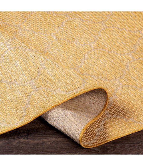 PASADENA RUG Surya Pasadena PSA-2347 6 4 x 9 Rug
