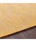 PASADENA RUG Surya Pasadena PSA-2347 6 4 x 9 Rug