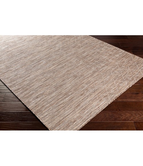 Surya Pasadena PSA-2373 5 1 x 7  Rug