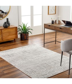 Livabliss Pisa PSS2344 Light Grey Taupe Area Rug 7 ft. 10 in. X 10 ft. Rectangle