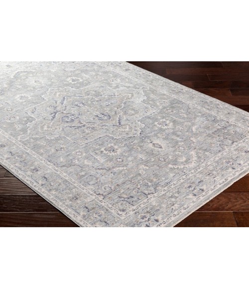 PALAZZO RUG Surya Palazzo PZL-2300 Area Rug