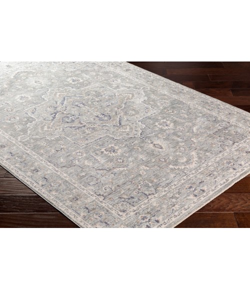 PALAZZO RUG Surya Palazzo PZL-2300 Area Rug