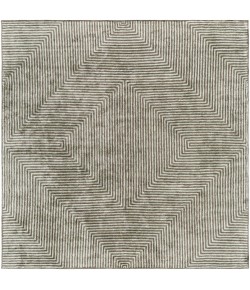 Surya Quartz QTZ5000 Light Gray Charcoal Area Rug 10 ft. Square