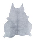 Surya Rafaela RAA-1002 5  x 7  Rug
