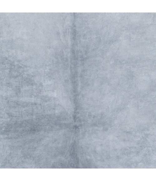 Surya Rafaela RAA-1002 5  x 7  Rug