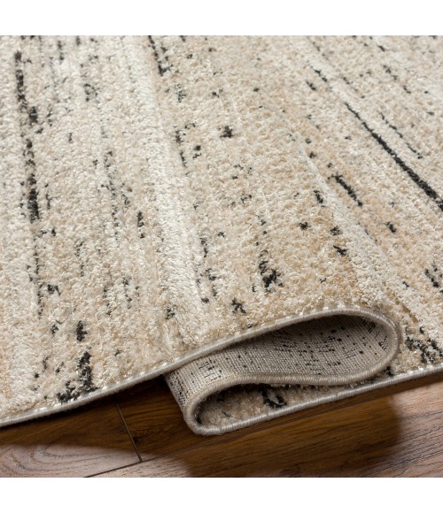Surya Rudy Rug RDY2300
