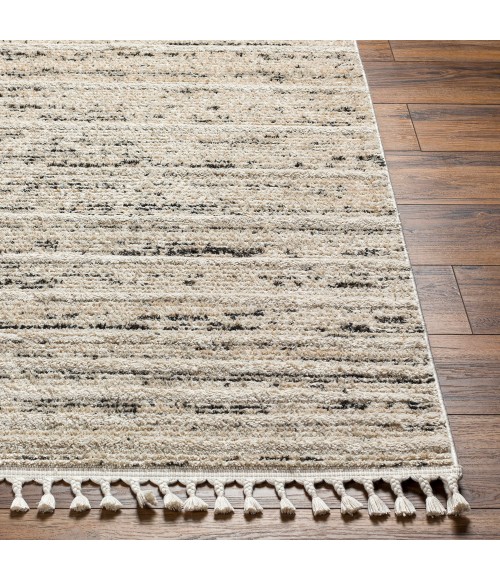 Surya Rudy Rug RDY2300