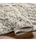 Surya Rudy Rug RDY2302