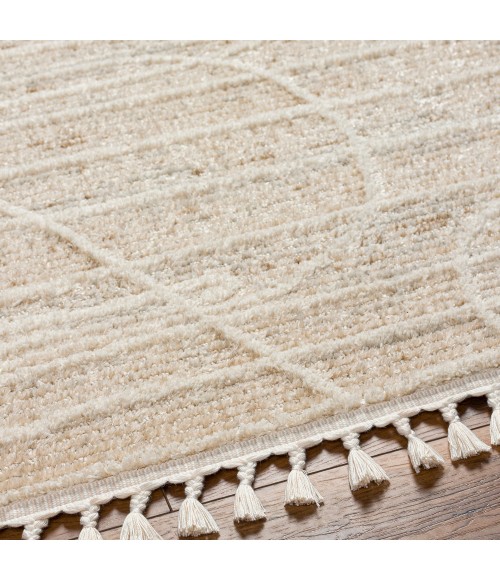 Surya Rudy Rug RDY2304