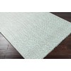 Surya Reeds REED802 Aqua Cream Area Rug 3 ft. 3 in. X 5 ft. 3 in. Rectangle
