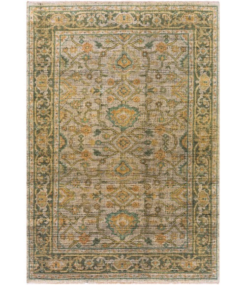 Surya Reign REG-2305 6  x 9  Rug