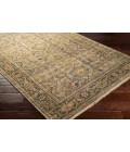 Surya Reign REG-2305 6  x 9  Rug