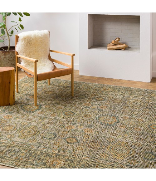 Surya Reign REG-2305 6  x 9  Rug