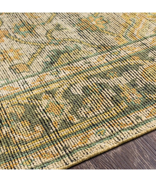 Surya Reign REG-2305 6  x 9  Rug