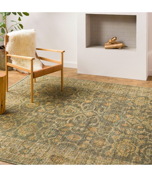 Surya Reign REG-2310 6  x 9  Rug