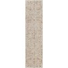 Livabliss Reina REN2302 Light Gray Denim Area Rug 2 ft. 7 in. X 10 ft. Runner