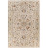 Livabliss Reina REN2303 Light Gray Medium Gray Area Rug 6 ft. 7 in. X 9 ft. 6 in. Rectangle