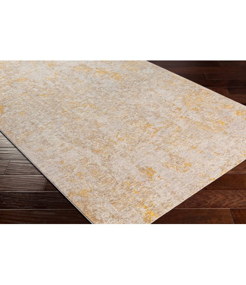 Reina Area Rug Surya Reina REN-2310 2'7" x 4' Rug