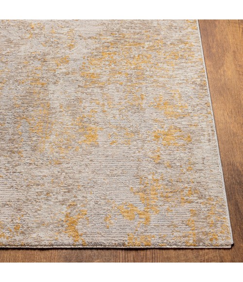 Reina Area Rug Surya Reina REN-2310 2'7" x 4' Rug