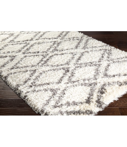 RHAPSODY RUG Surya Rhapsody RHA-1036-9x12 rug