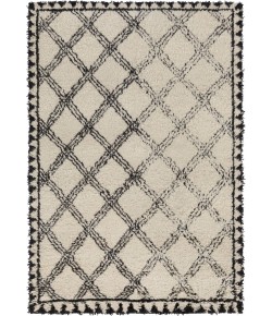 Surya Riad RID3002 Black Ivory Area Rug 2 ft. X 3 ft. Rectangle