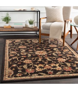 Surya Riley RLY5025 Black Tan Area Rug 6 ft. 7 in. X 9 ft. 6 in. Rectangle