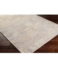 Surya Rosario ROA-2304 10  x 14  Rug