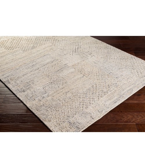 Surya Rosario ROA-2304 10  x 14  Rug