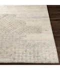 Surya Rosario ROA-2304 10  x 14  Rug
